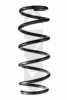 SPIDAN 85550 Coil Spring